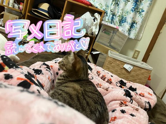 快楽の渦に巻き込まれて